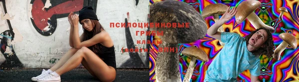 мдпв Покров