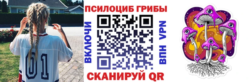 Псилоцибиновые грибы Psilocybe  Купить где  Новороссийск 